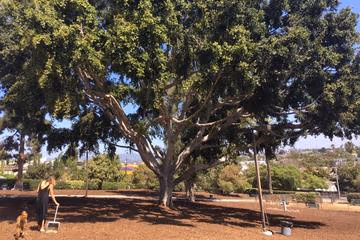 Herb Katz Dog Park at Joslyn Park
